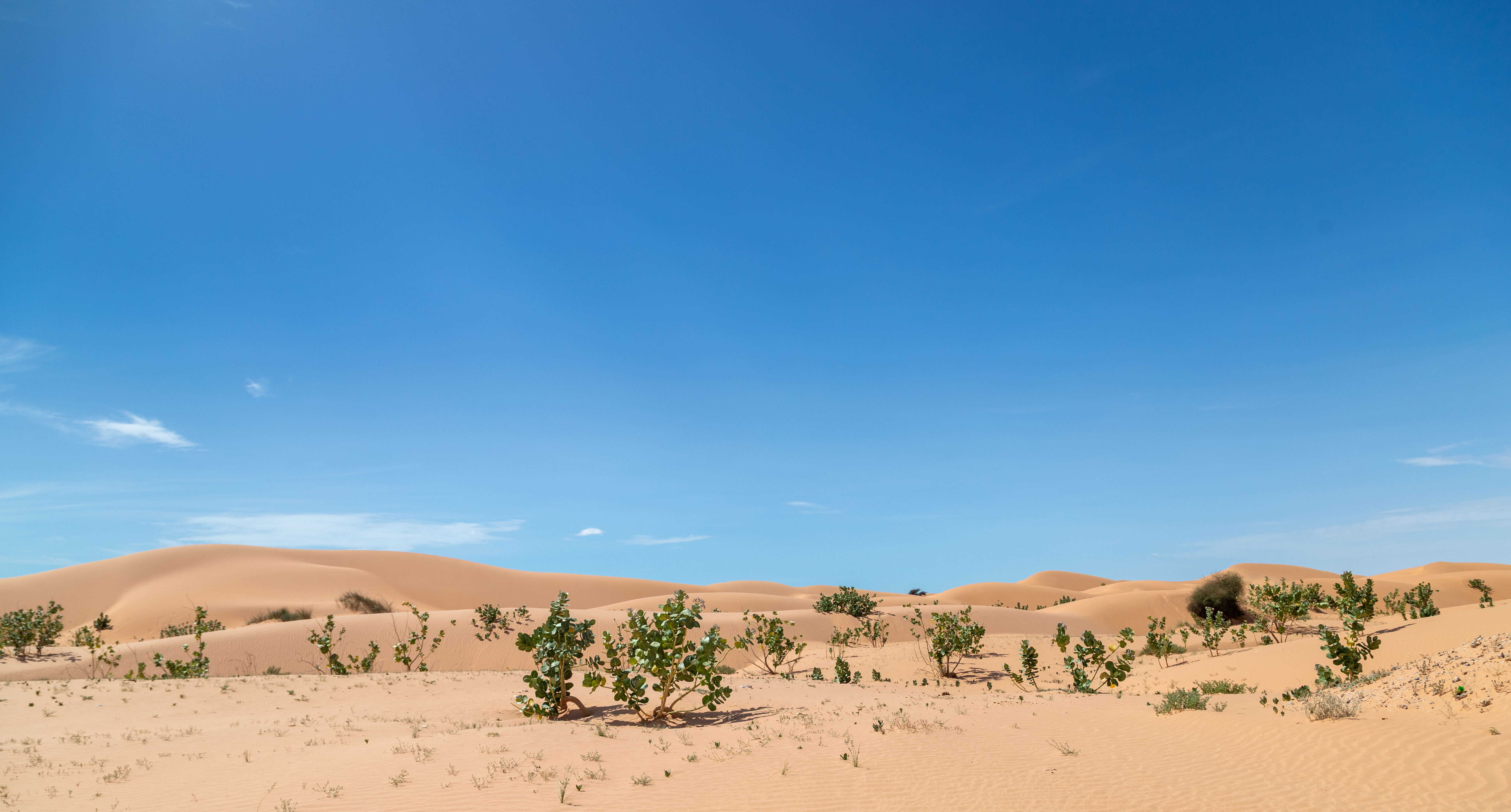 Mauritanië Afrika